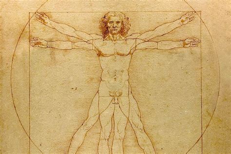 What You Need To Know About Leonardo's Vitruvian Man | Widewalls