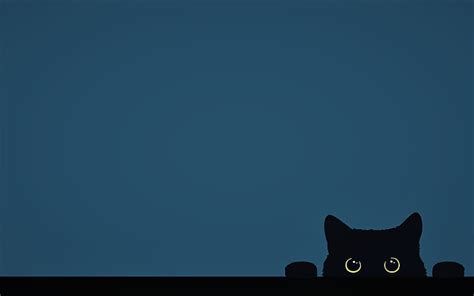 1229x691px | free download | HD wallpaper: minimalism, Cat, funny, digital art, artwork, cute ...