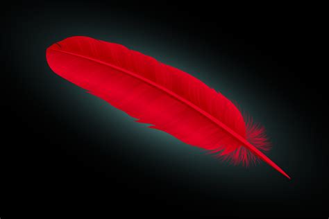 Red Feather Meaning and Symbolism | Color Meanings