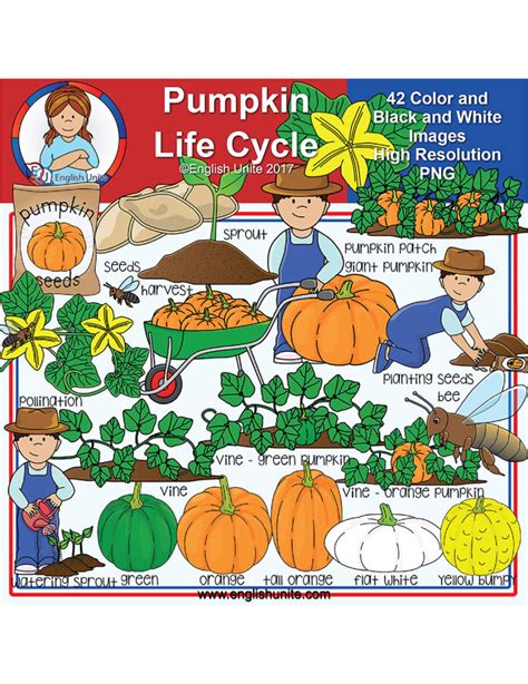 English Unite - Pumpkin Life Cycle - Planting Seeds