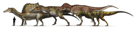 2014 Spinosaurus size comparison by Calibersoul2012 on DeviantArt