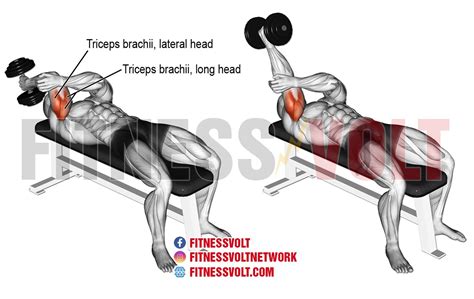 Lying One-Arm Dumbbell Triceps Extension for Stronger Arms – Fitness Volt