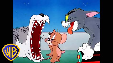 Funny Cartoon Pictures Tom And Jerry - Infoupdate.org