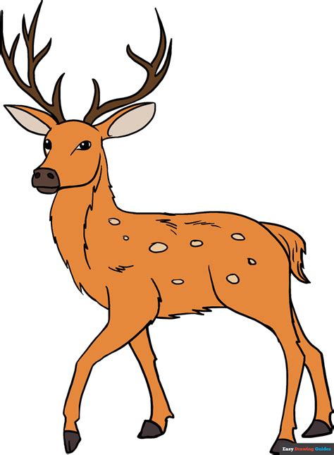 How to Draw a Deer in a Few Easy Steps | Easy Drawing Guides