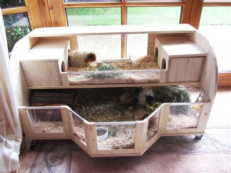 Diy guinea pig cage, Guinea pig cage, Guinea pig hutch