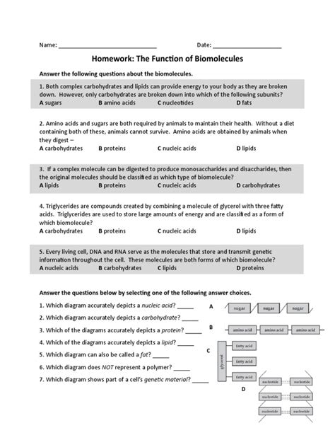 Biomolecules Structure and Function Worksheet | PDF | Biomolecules | Carbohydrates