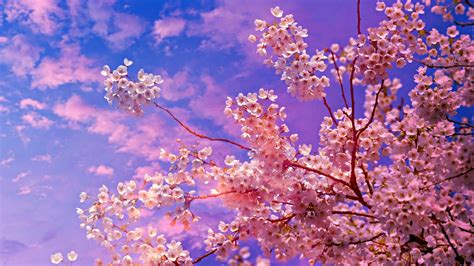 Cherry Blossom Laptop Wallpapers - Top Free Cherry Blossom Laptop Backgrounds - WallpaperAccess