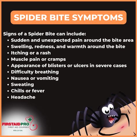 Spider bites - When to worry, Symptoms & First Aid