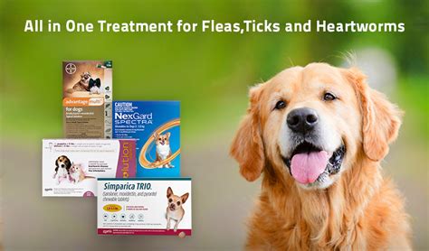 What Is The Best Heartworm Flea And Tick Prevention For Dogs