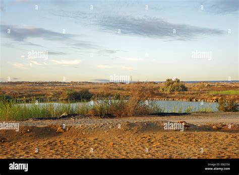 oasis in the desert of egypt Stock Photo - Alamy