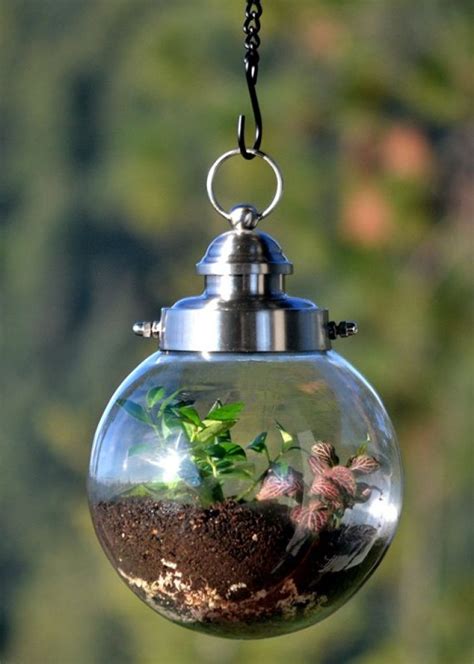 Hanging Terrarium