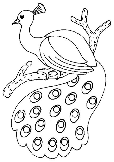 Free Peacock Coloring Pages - Print and Color