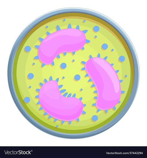 Petri dish experiment icon cartoon style Vector Image