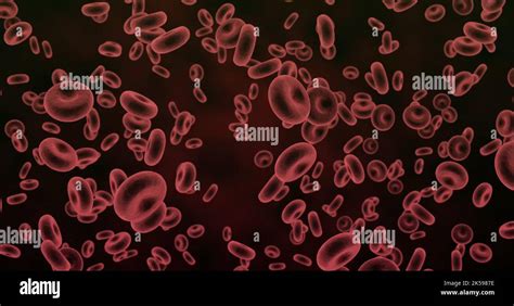 Illustration of magnification of flowing red blood cells Stock Photo - Alamy