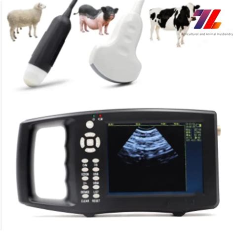 Handheld Veterinary Ultrasound Scanner for Cow/Horse/Goat/Pregnant Pig Ultrasound Scan Echograph ...