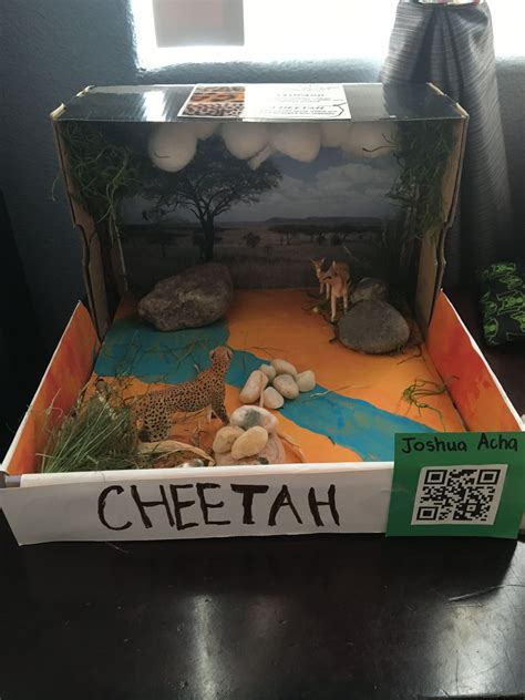 Cheetah Habitat Diorama