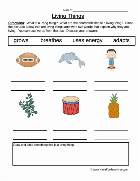 50 Characteristics Of Life Worksheet