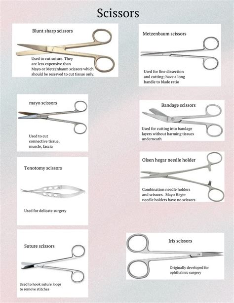 Vet Tech Surgical Instruments Guide, Veterinary Surgical Instruments Cheat Sheet, Vet Tech Study ...