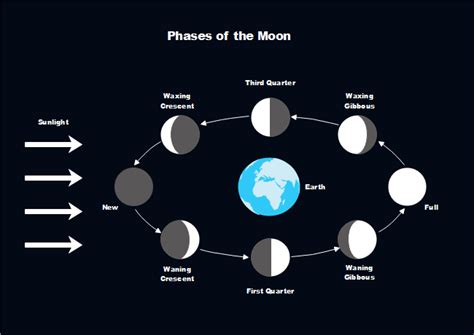 Moon Phases | Free Moon Phases Templates