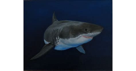 Great White Shark Oil Painting | drunkMall