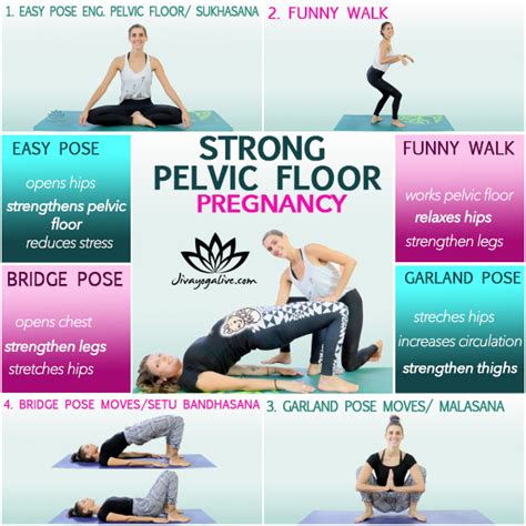 How To Strengthen Pelvic Floor When Pregnant First Trimester | Viewfloor.co