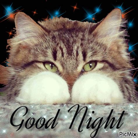 Cat Good Night Gif - CAT VGR