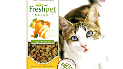 Low Iodine Cat Food Recipes - Recipe Choices