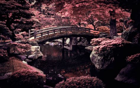 Japan Wallpapers - Wallpaper Cave