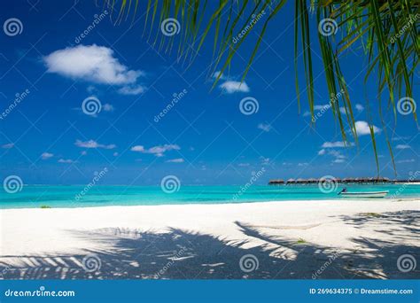 Tropical beach in Maldives stock image. Image of luxury - 269634375