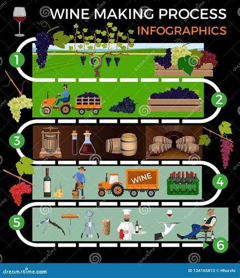 Wine making process stock vector. Illustration of making - 134165813