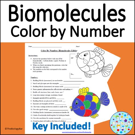 Biomolecules Color By Number | Made By Teachers