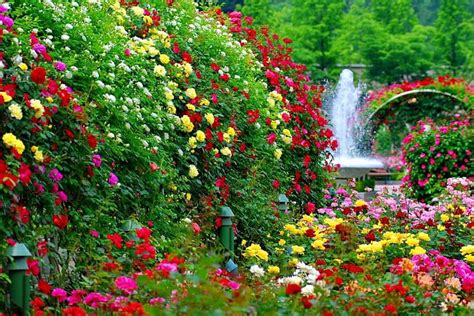 334 Background Flower Garden Images free Download - MyWeb