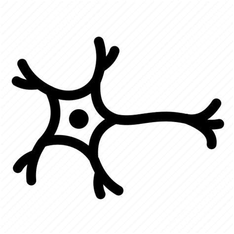 Cell, nerve, nerves, nervous system, neurology, neuron icon - Download on Iconfinder