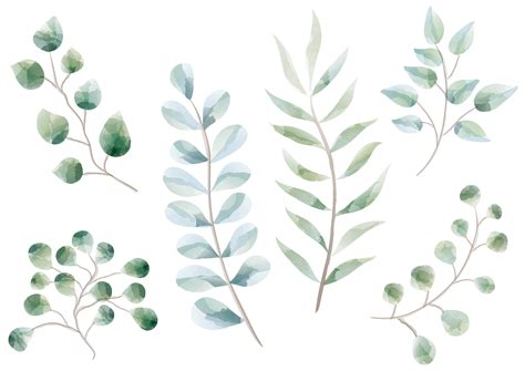 Watercolor Plants Vector Art, Icons, and Graphics for Free Download