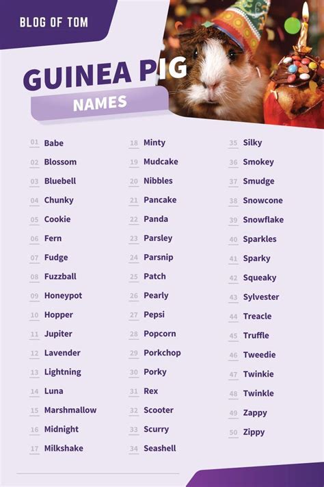 Guinea Pig Names (Cute & Funny Boy & Girl Ideas) in 2024 | Guinea pigs, Cute guinea pigs, Guinea ...