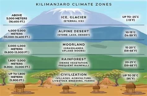 Mount Kilimanjaro's ecological climate zones