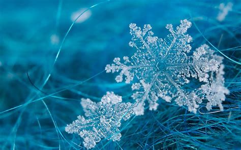 Snowflake Wallpapers - Wallpaper Cave