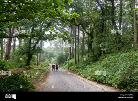 Sintra National Park, Lisbon, Portugal Stock Photo - Alamy