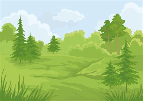 Forest landscapes vector illustrations