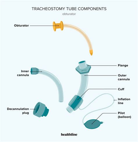 Fenestrated Vs Non-Fenestrated Tracheostomy Tube, 42% OFF