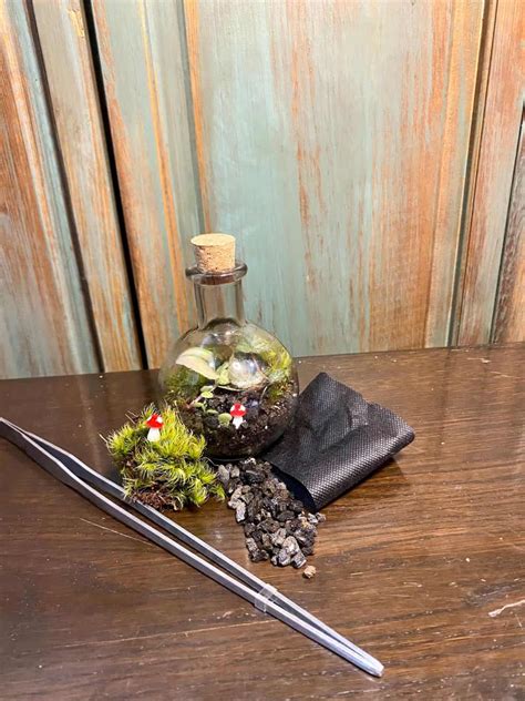 The 5 Best Moss Terrarium Kits for Sale (For Every Project)