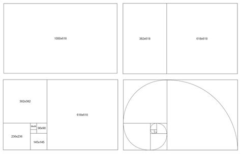 Golden Ratio in Design: What You Need to Know About It