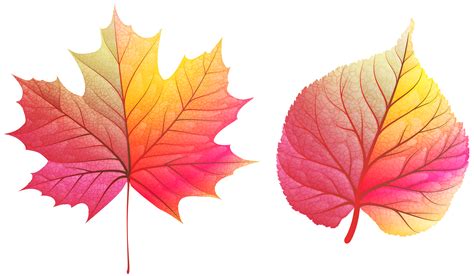 colorful fall leaves clip art 20 free Cliparts | Download images on Clipground 2024