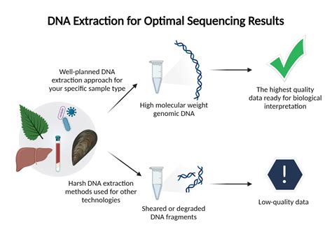 Sequencing 101: DNA extraction — tips, kits, and protocols - PacBio