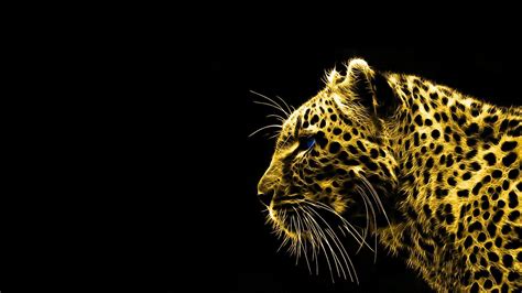 Black Cheetah Wallpapers - Top Free Black Cheetah Backgrounds - WallpaperAccess