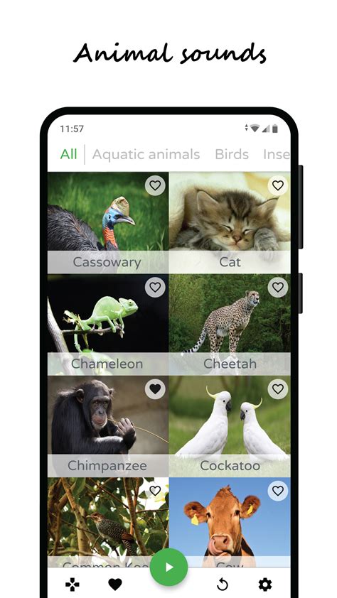 Animal Sounds, Animal Games | It's All Widgets!