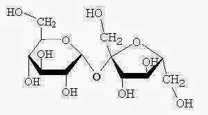 Sukrosa dan Strukturnya | Sains, Teknologi dan Ekonomi Bisnis