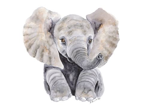 Baby Elephant Watercolor at GetDrawings | Free download