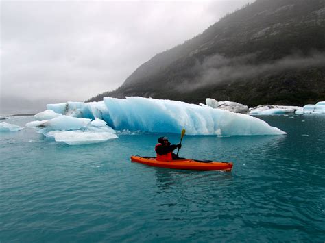 Glacier Bay National Park Kayak Tours | Gustavus AK Kayaking Day Trips