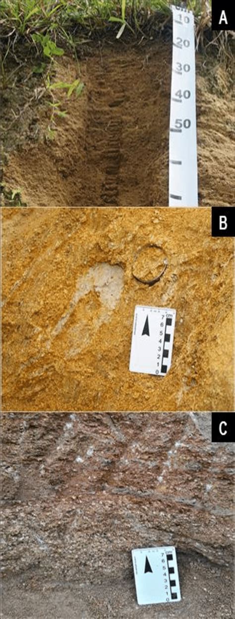 Weathering Profile: (A) Residual Soil; (B) Saprolite II; (C) Saprolite I. | Download Scientific ...